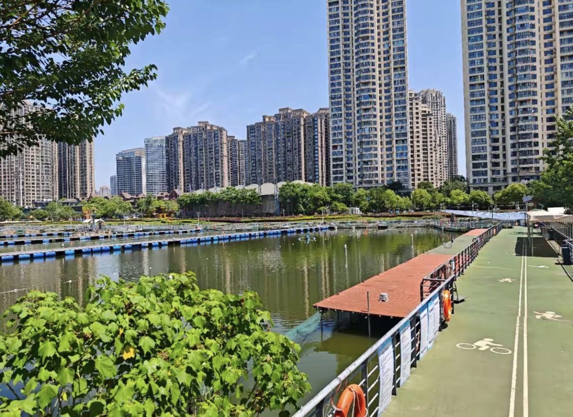 张之洞遛鱼城市钓场钓场环境缩略图