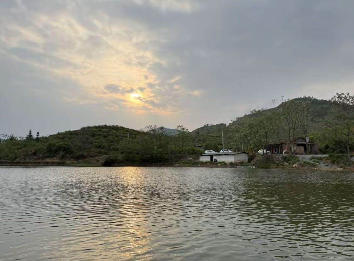 龙回沙口钓场钓场环境缩略图