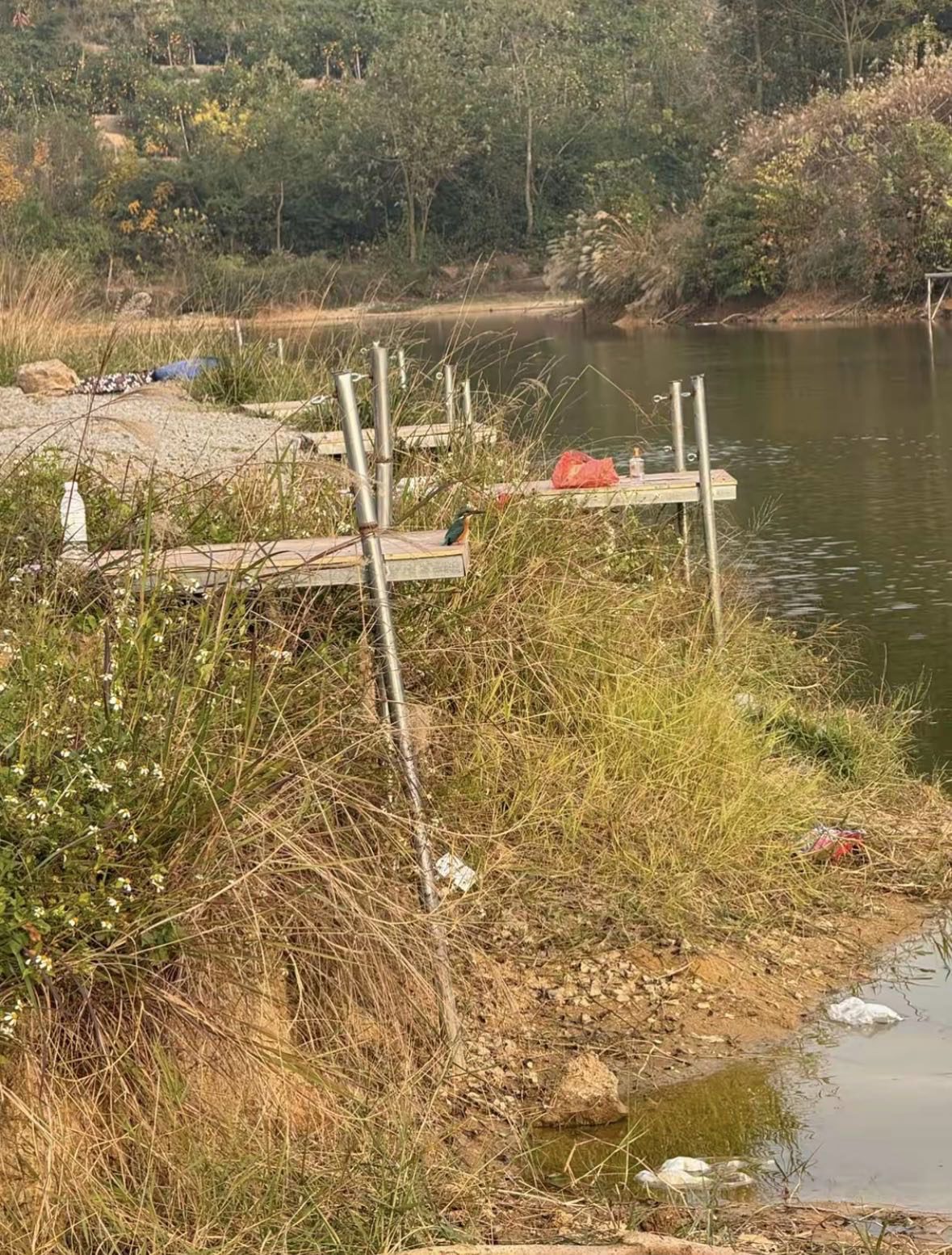 龙回沙口钓场钓场环境缩略图