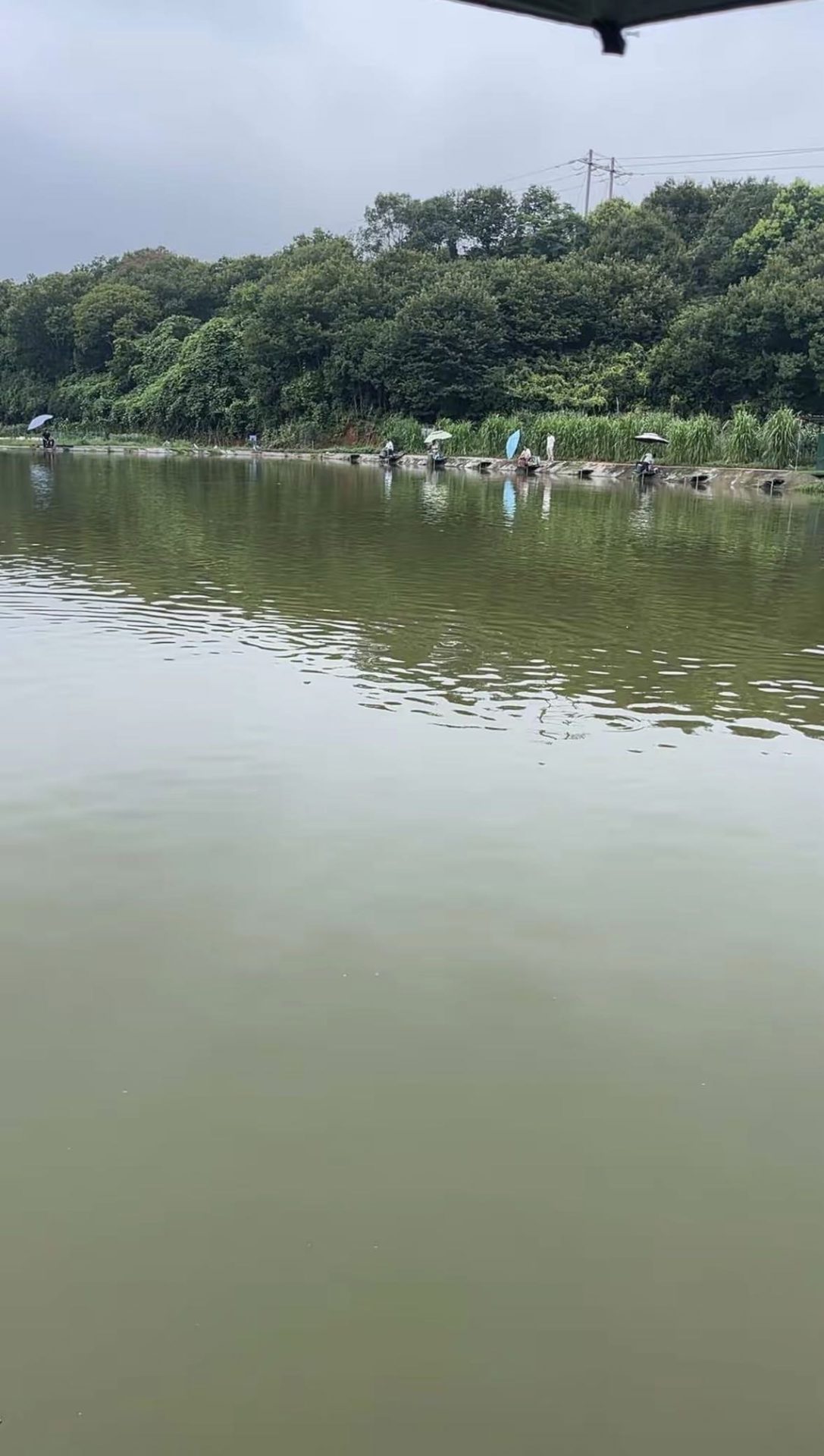 三田村水产养殖基地钓场环境照片