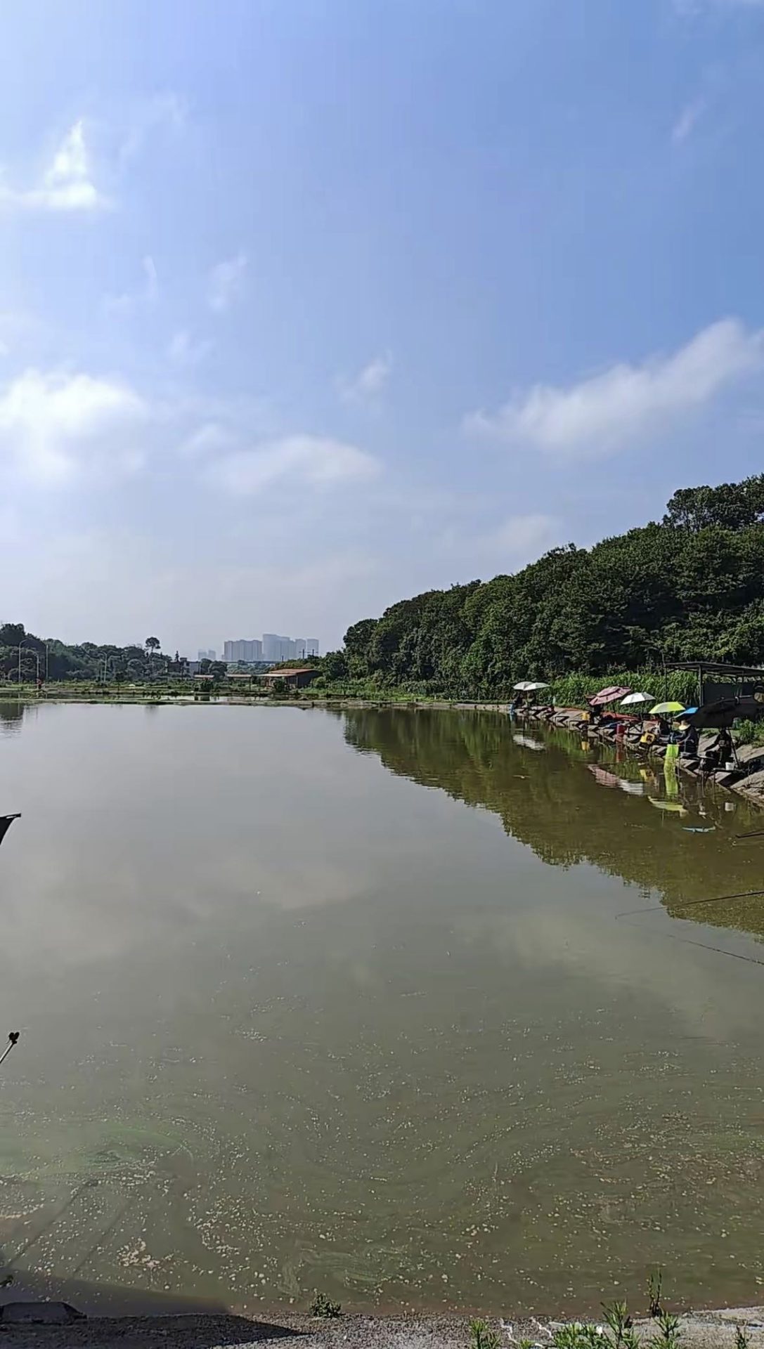 三田村水产养殖基地钓场环境缩略图