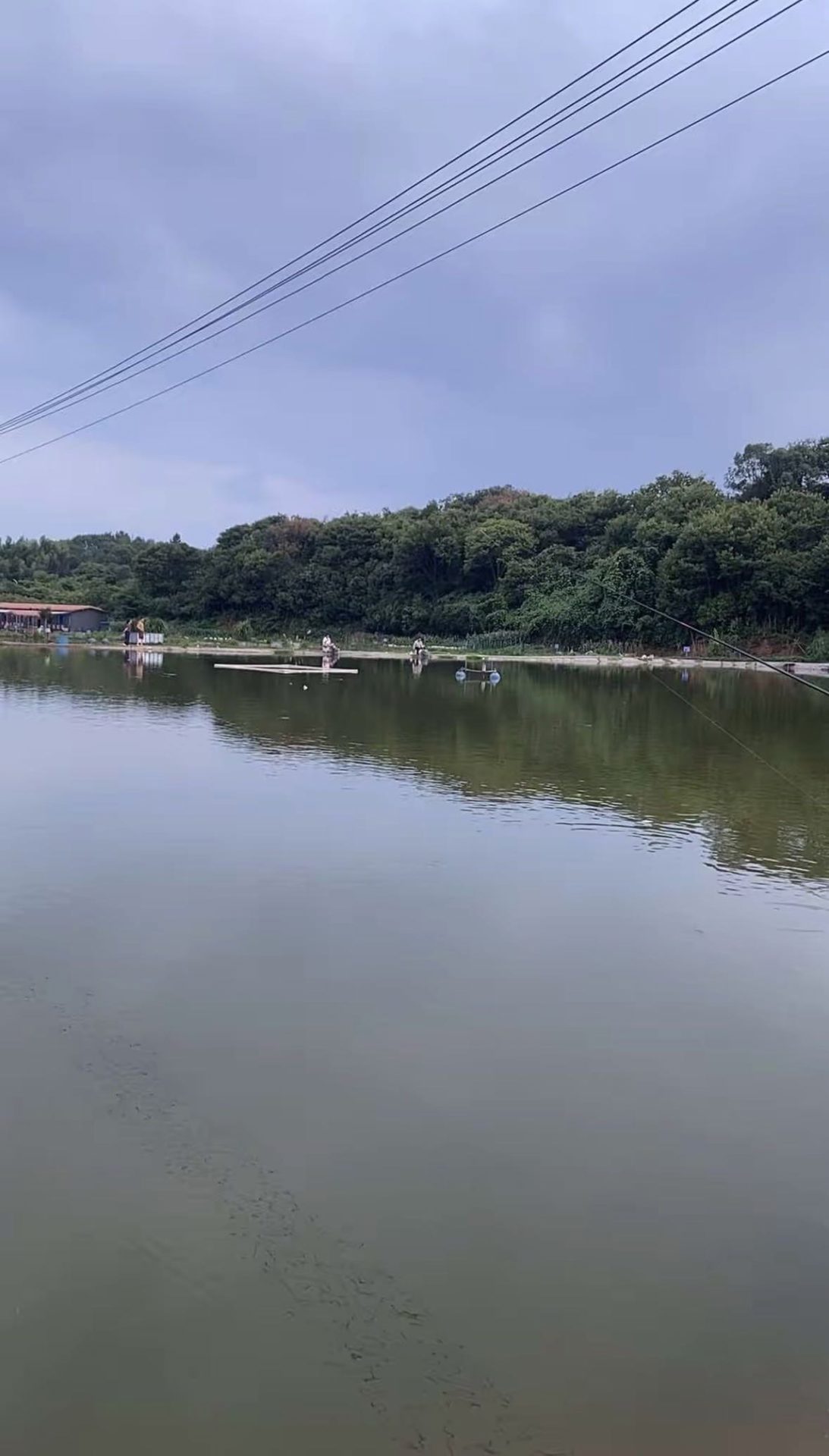 三田村水产养殖基地钓场环境缩略图