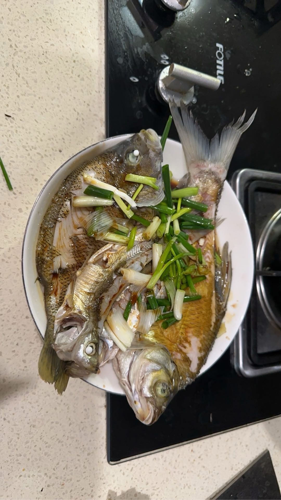 宋玉伟的真实钓鱼渔获图片 3
