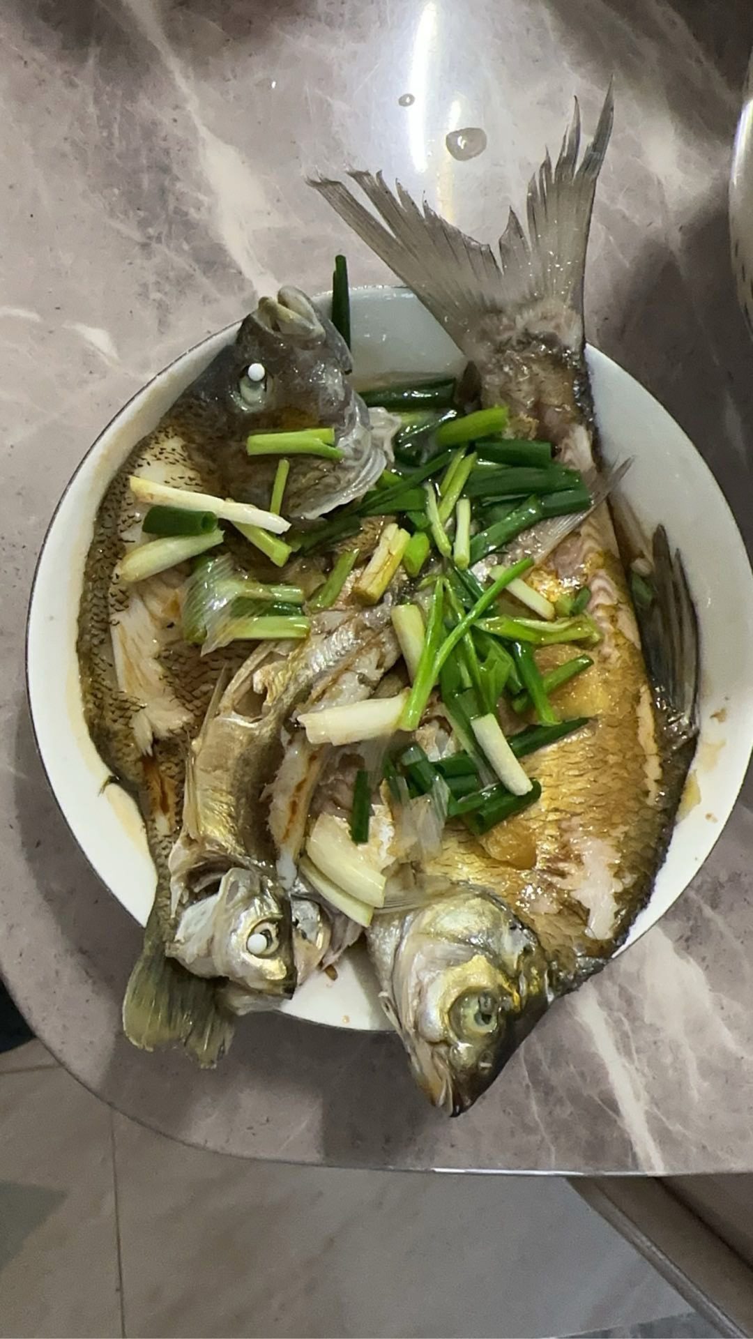 宋玉伟的真实钓鱼渔获图片 4