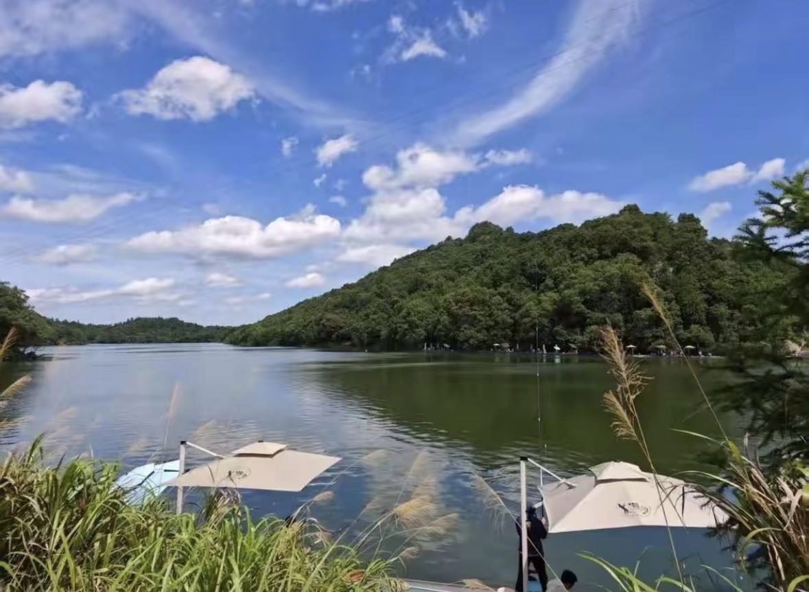 木鱼岛钓场钓场环境缩略图