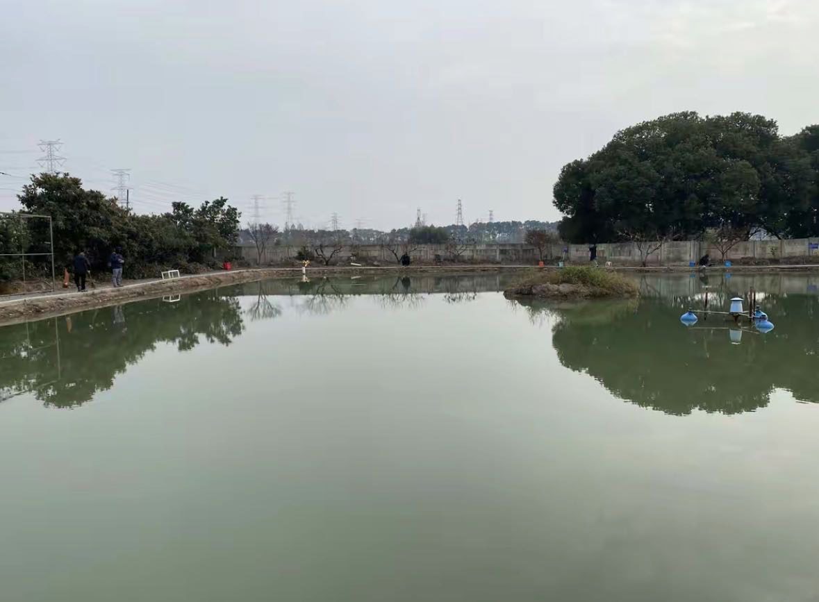 宋玉伟的真实钓鱼渔获图片 1