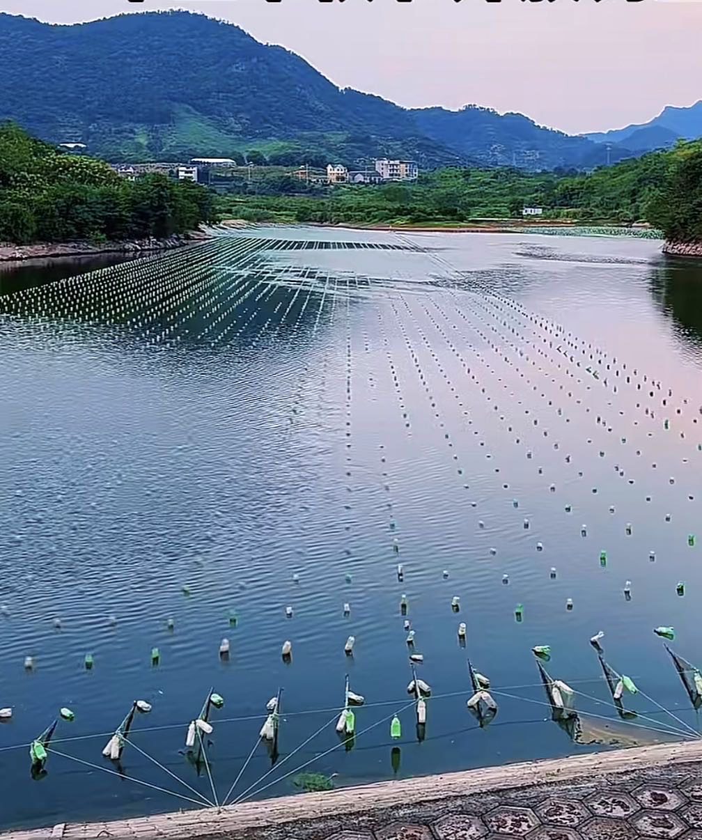 金华白蛇坑水库钓点与钓场环境照片