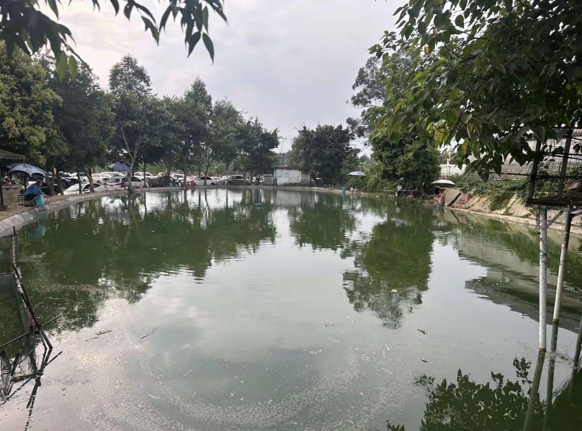 泓阳钓场钓点与钓场环境照片