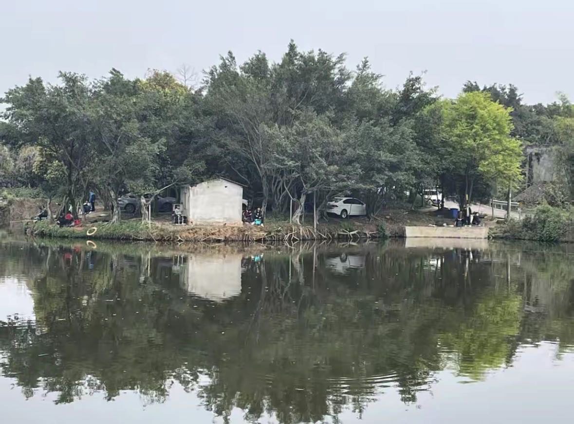 渔人谷垂钓基地钓点与钓场环境照片