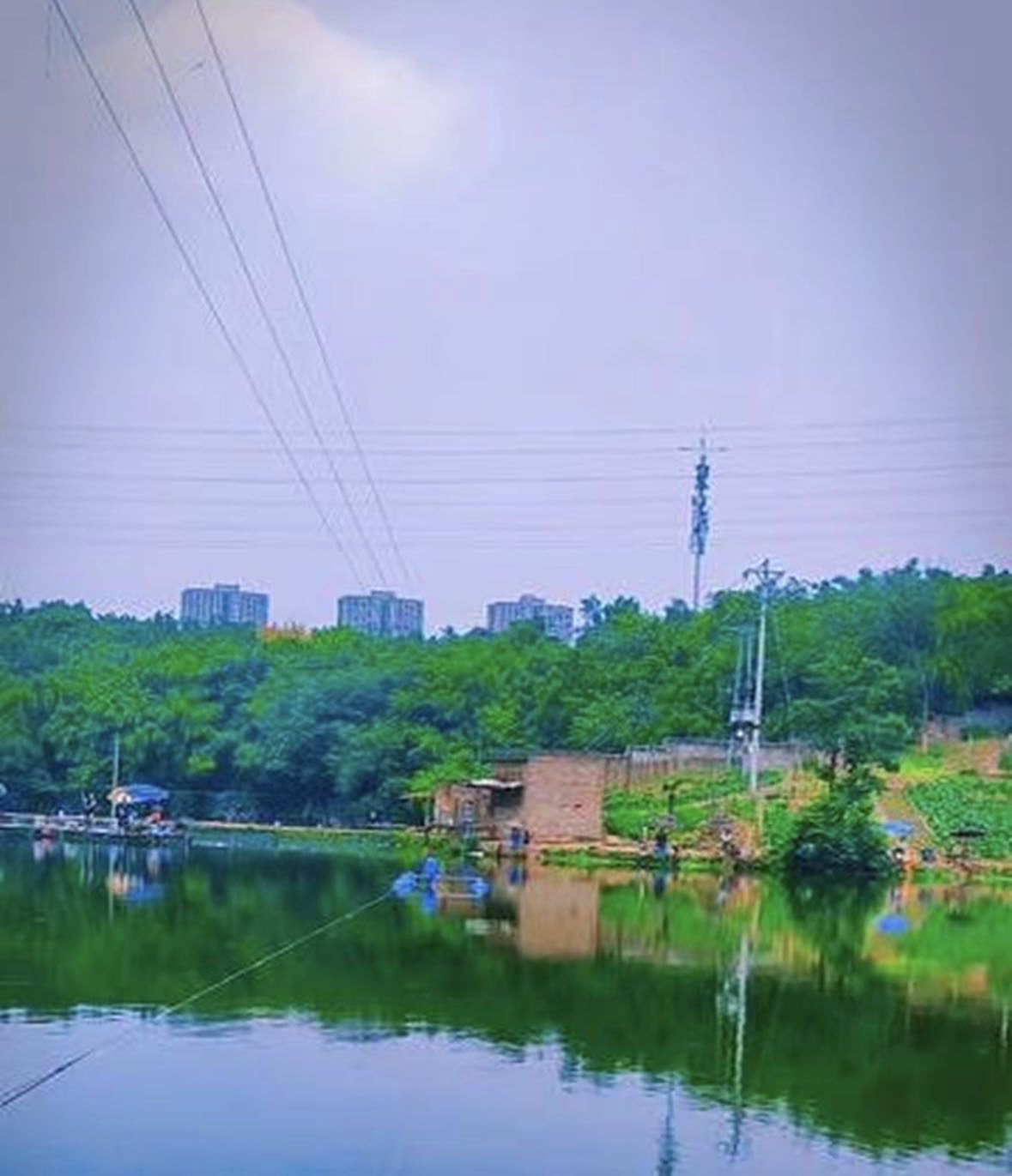 华建沟垂钓中心钓场环境缩略图