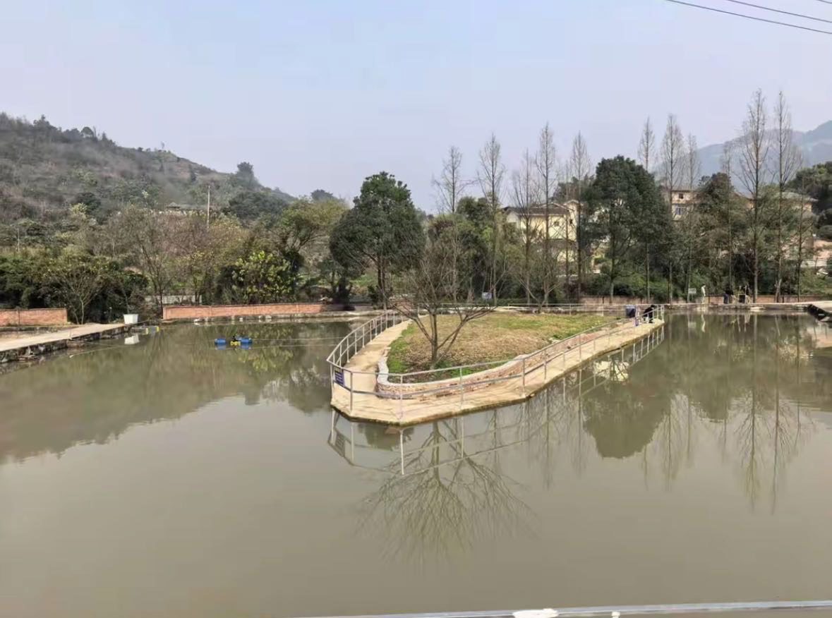 香溪丰裕垂钓园钓场环境缩略图