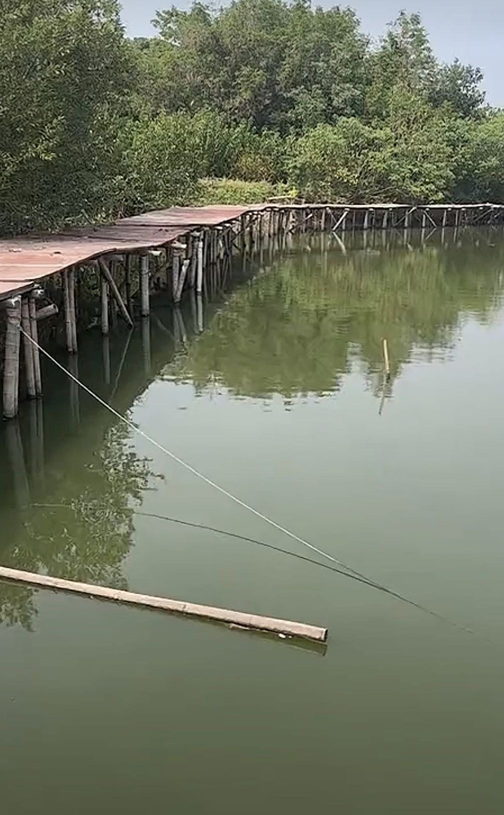 德清梵行寺钓场环境照片