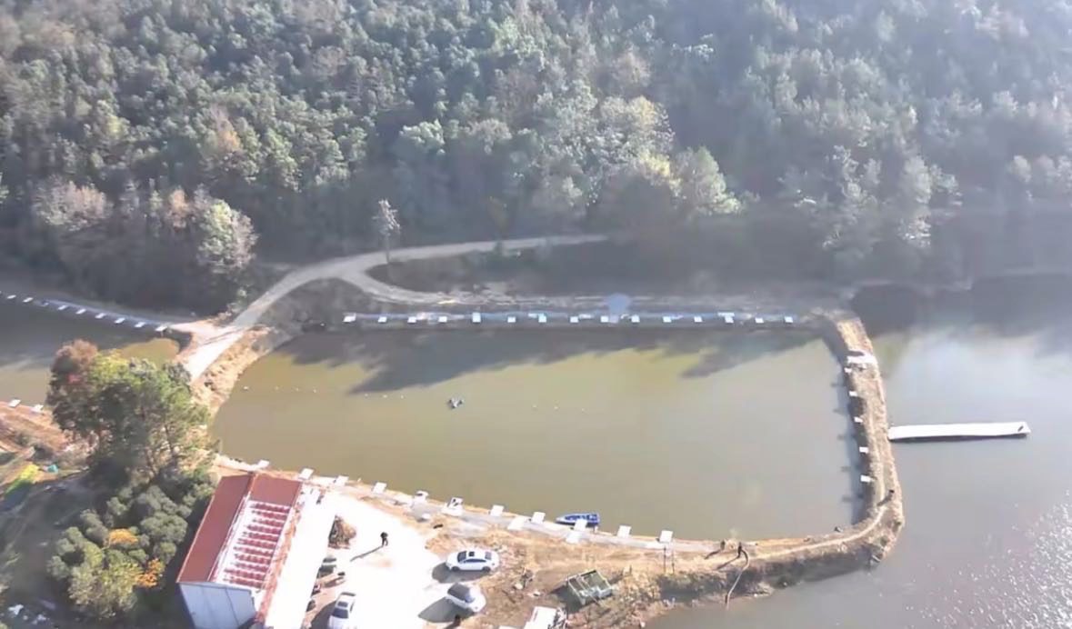 何冲生态垂钓园钓场环境缩略图
