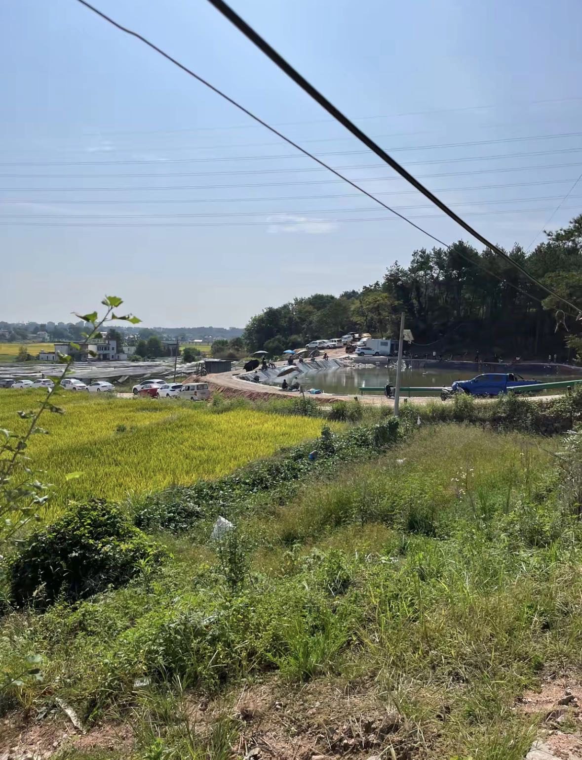 松岭爆护钓场钓场环境缩略图