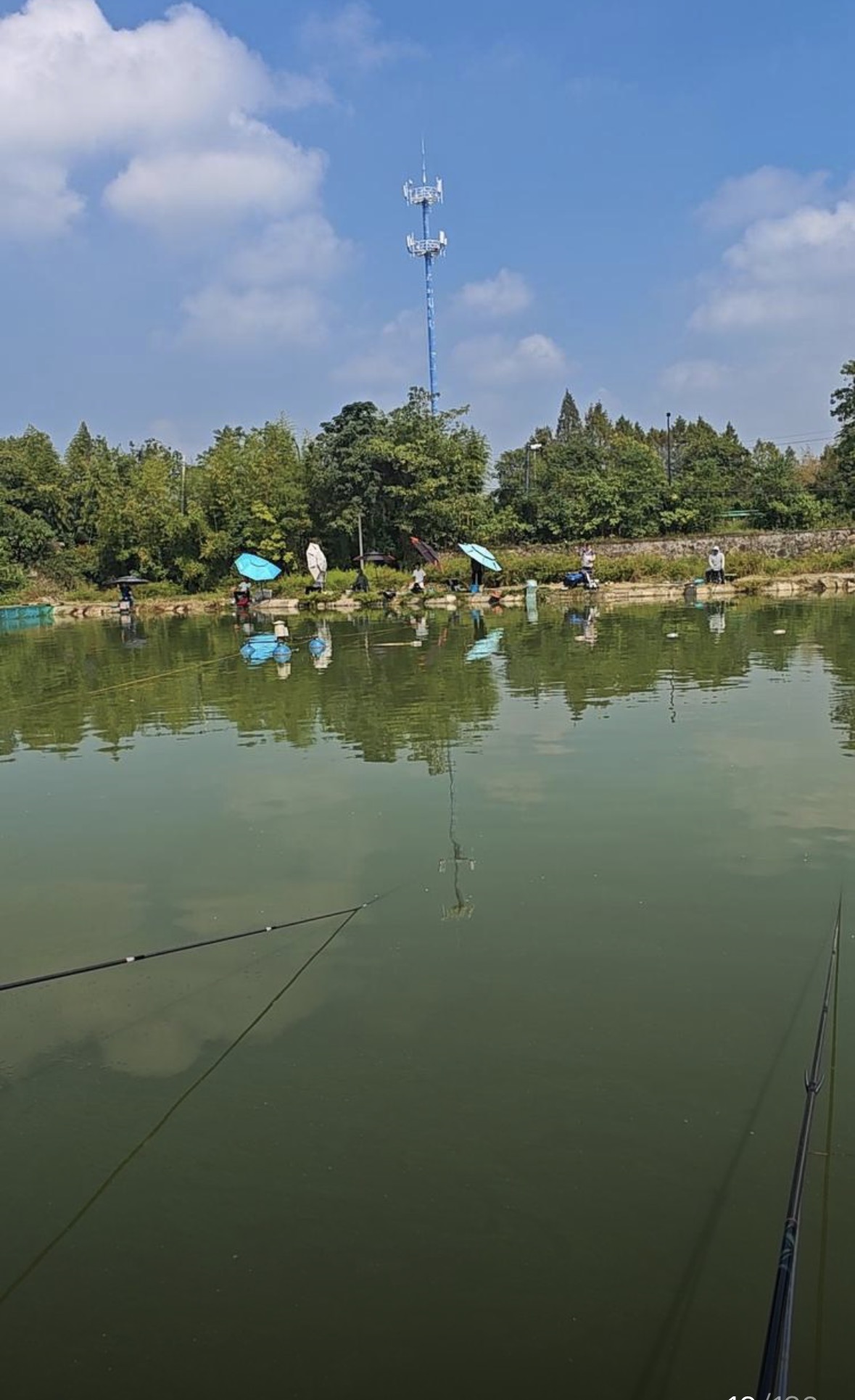 宋玉伟分享的鱼情、钓点与渔获 宋玉伟的真实钓鱼渔获图片 1