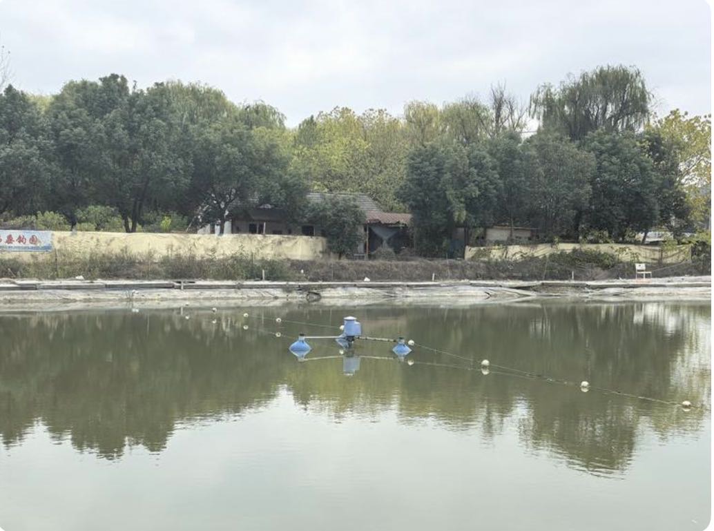 宋玉伟的真实钓鱼渔获图片 3
