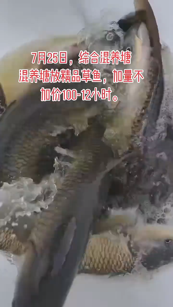 宋玉伟的真实钓鱼渔获图片 1