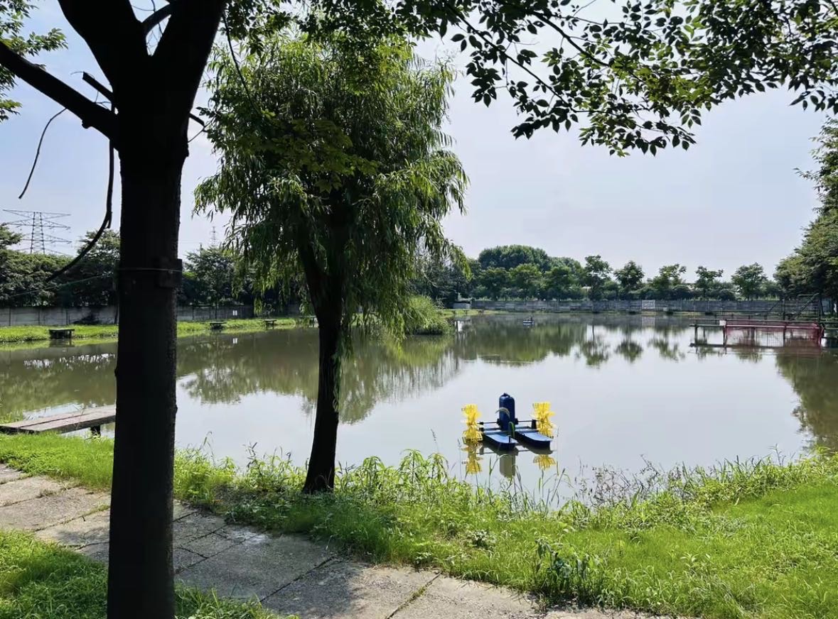 金麟钓场钓场环境缩略图