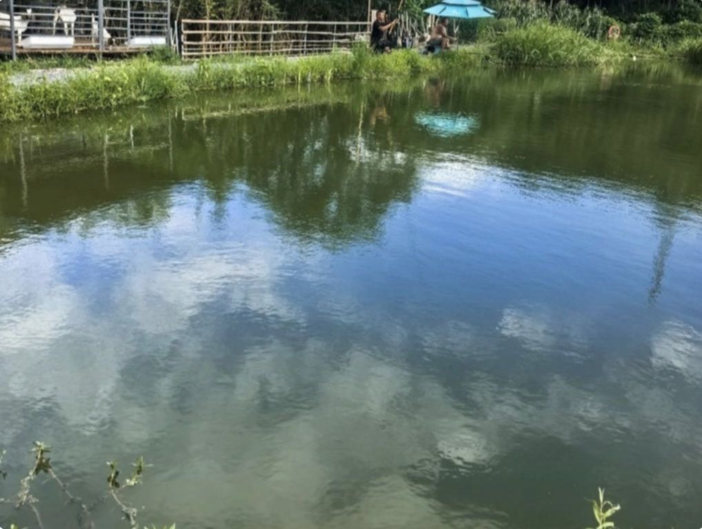 宋玉伟分享的鱼情、钓点与渔获 宋玉伟的真实钓鱼渔获图片 3