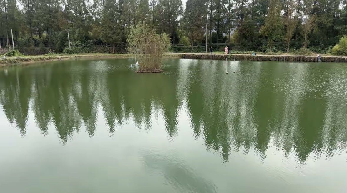 八八垂钓场钓场环境缩略图