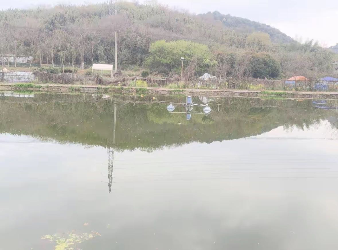 宋玉伟分享的鱼情、钓点与渔获 宋玉伟的真实钓鱼渔获图片 2