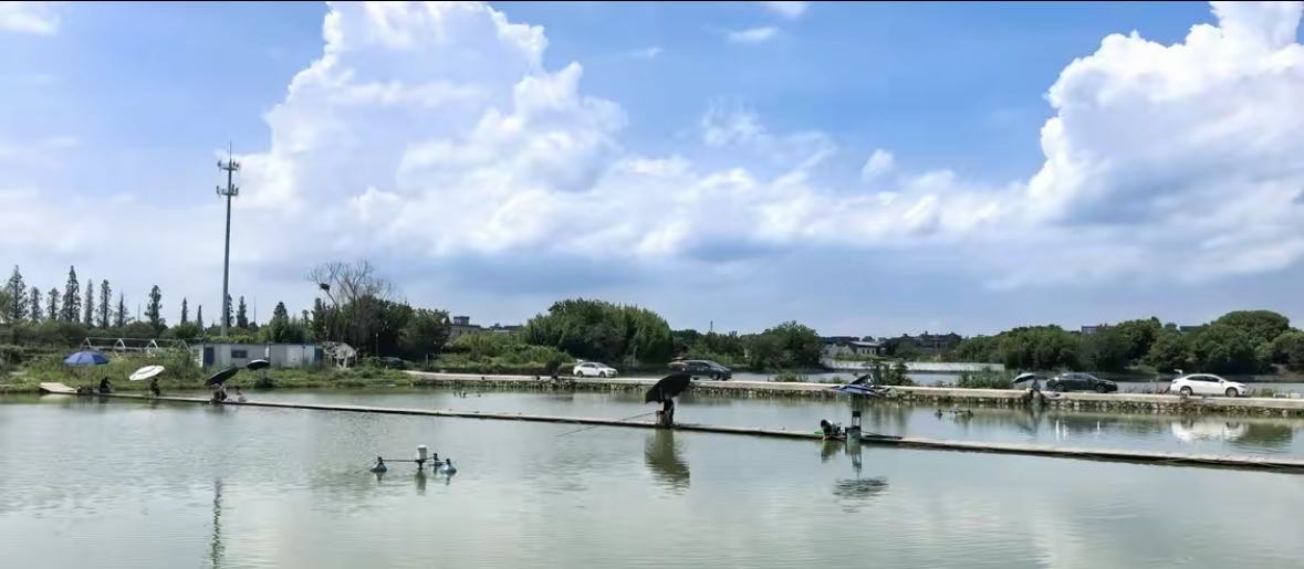 兴宇休闲垂钓园钓场环境缩略图