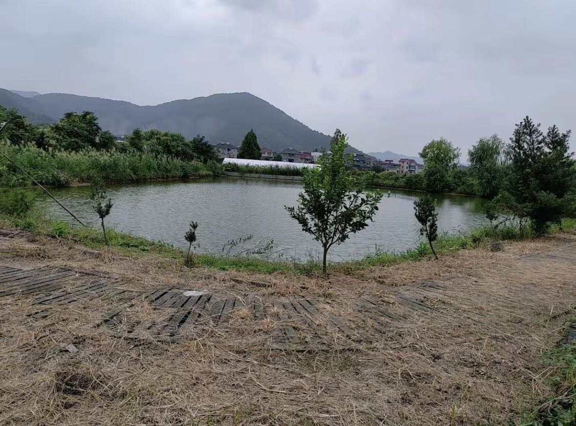 宋玉伟的真实钓鱼渔获图片 1