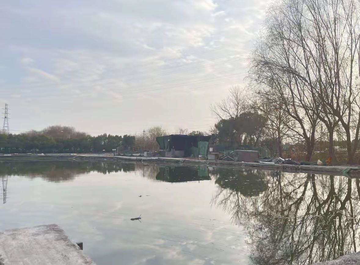 宋玉伟的真实钓鱼渔获图片 2
