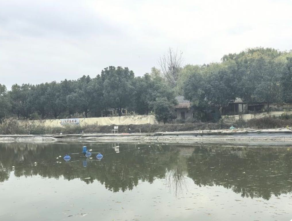 宋玉伟的真实钓鱼渔获图片 2