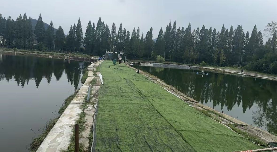 八八垂钓场钓场环境缩略图