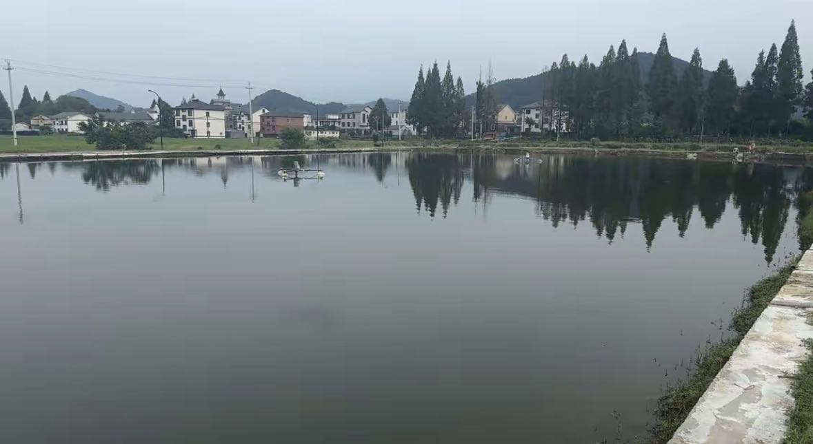 蔡晓亮的真实钓鱼渔获图片 4