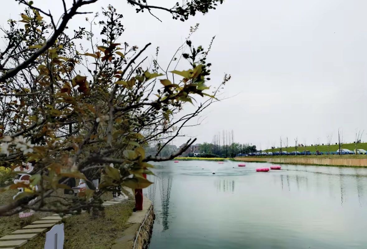 永乐园垂钓中心钓场环境缩略图