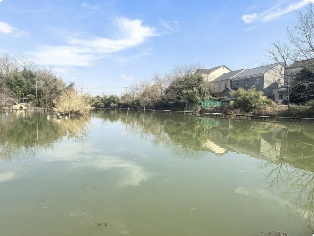 宋玉伟分享的鱼情、钓点与渔获 宋玉伟的真实钓鱼渔获图片 3