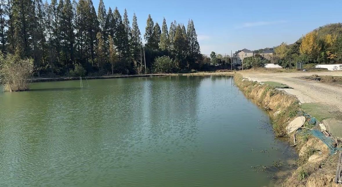 八八垂钓场钓场环境缩略图