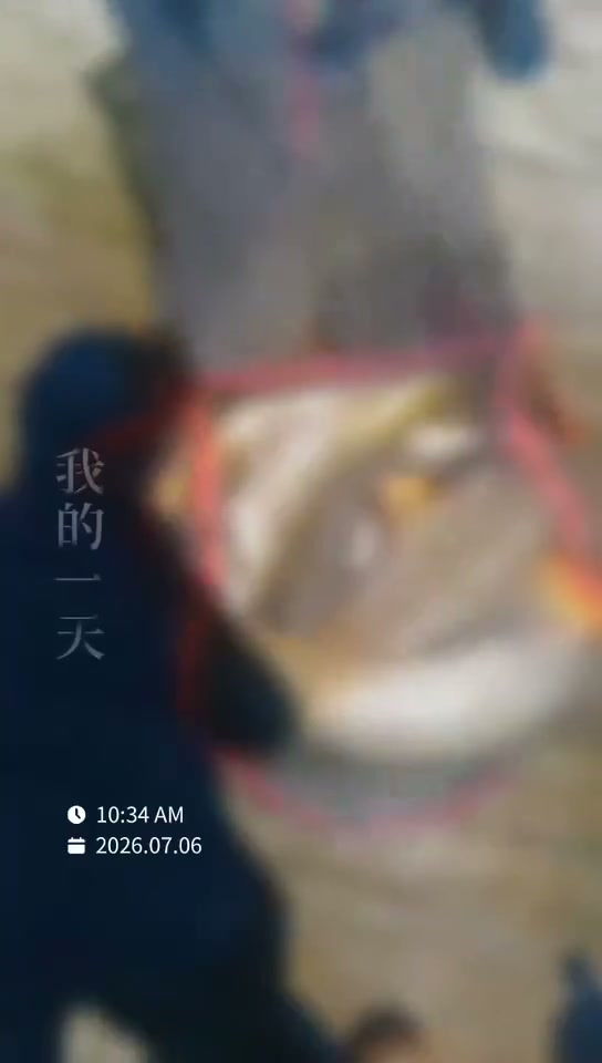 钓友宋玉伟分享的鱼情与渔获 宋玉伟发布的真实钓鱼渔获动态
