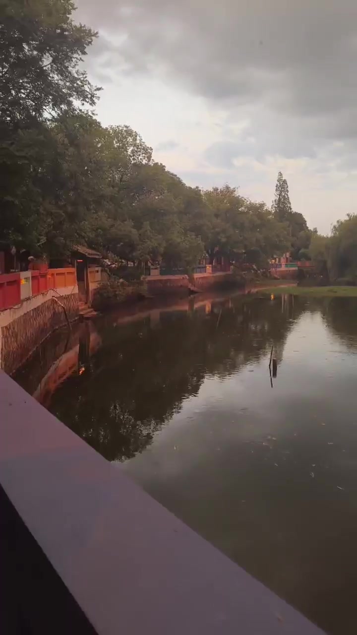 宋玉伟的真实钓鱼渔获图片 1