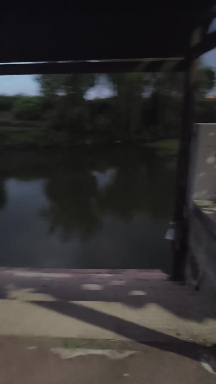🐟爱吃鱼的猫🐈的真实钓鱼渔获图片 1
