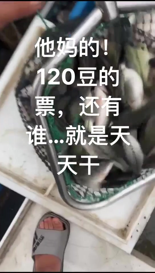 王师傅的真实钓鱼渔获图片 1