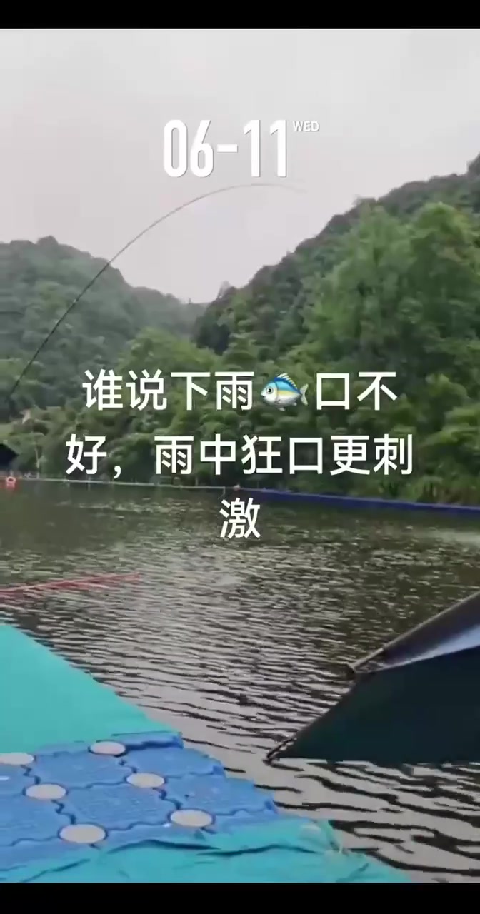 黑帆的真实钓鱼渔获图片 1