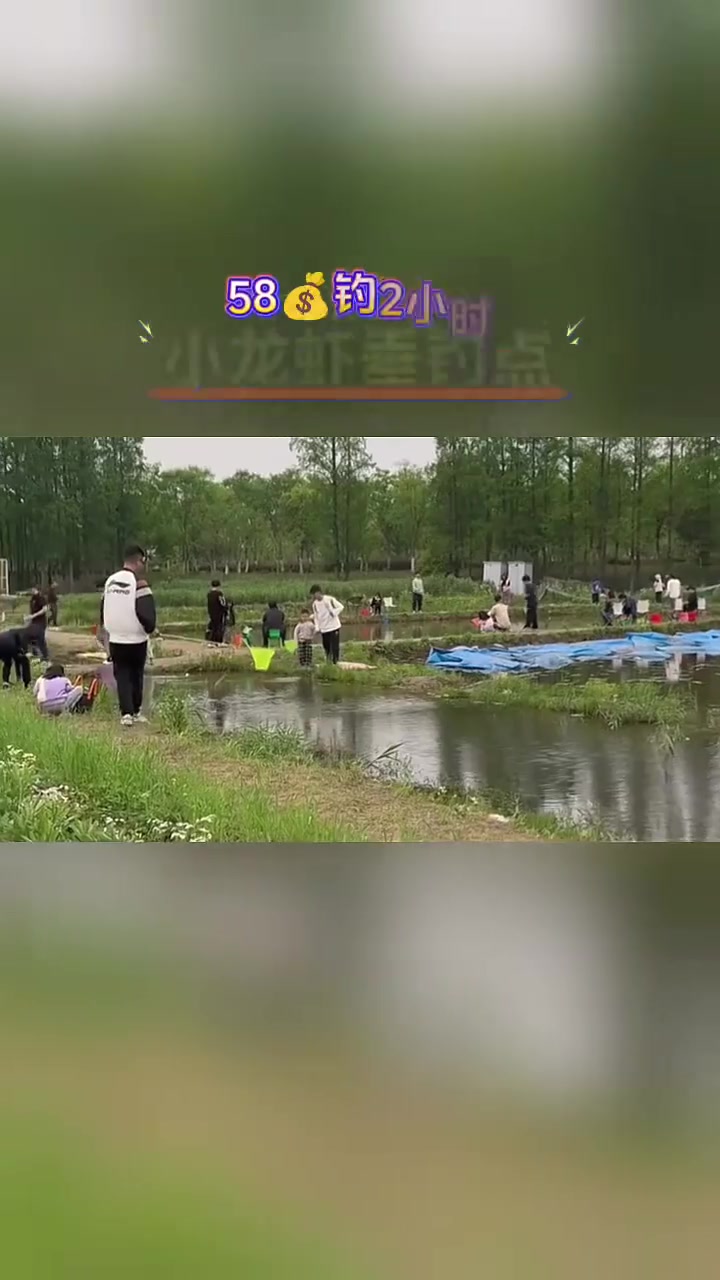 杭牛集团001发布的真实钓鱼渔获动态