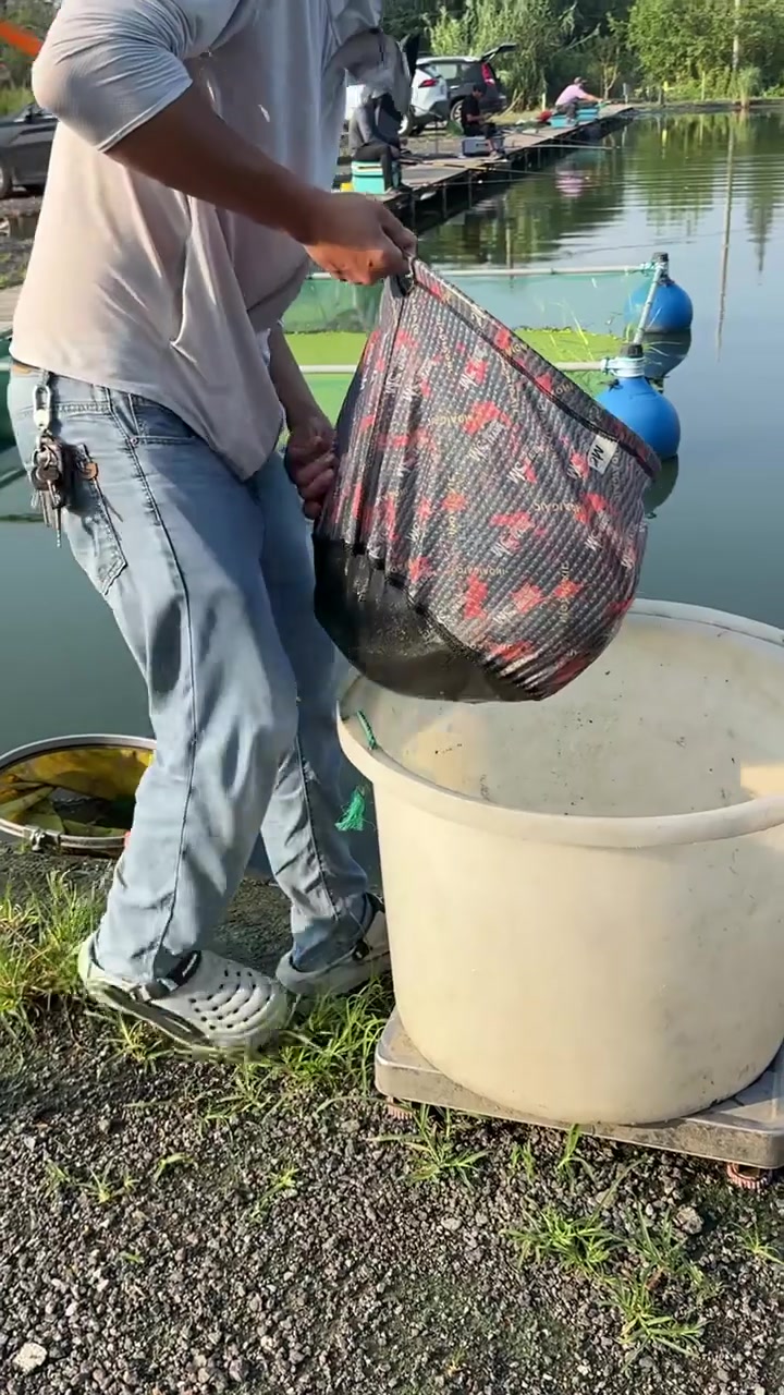 宋玉伟发布的真实钓鱼渔获动态