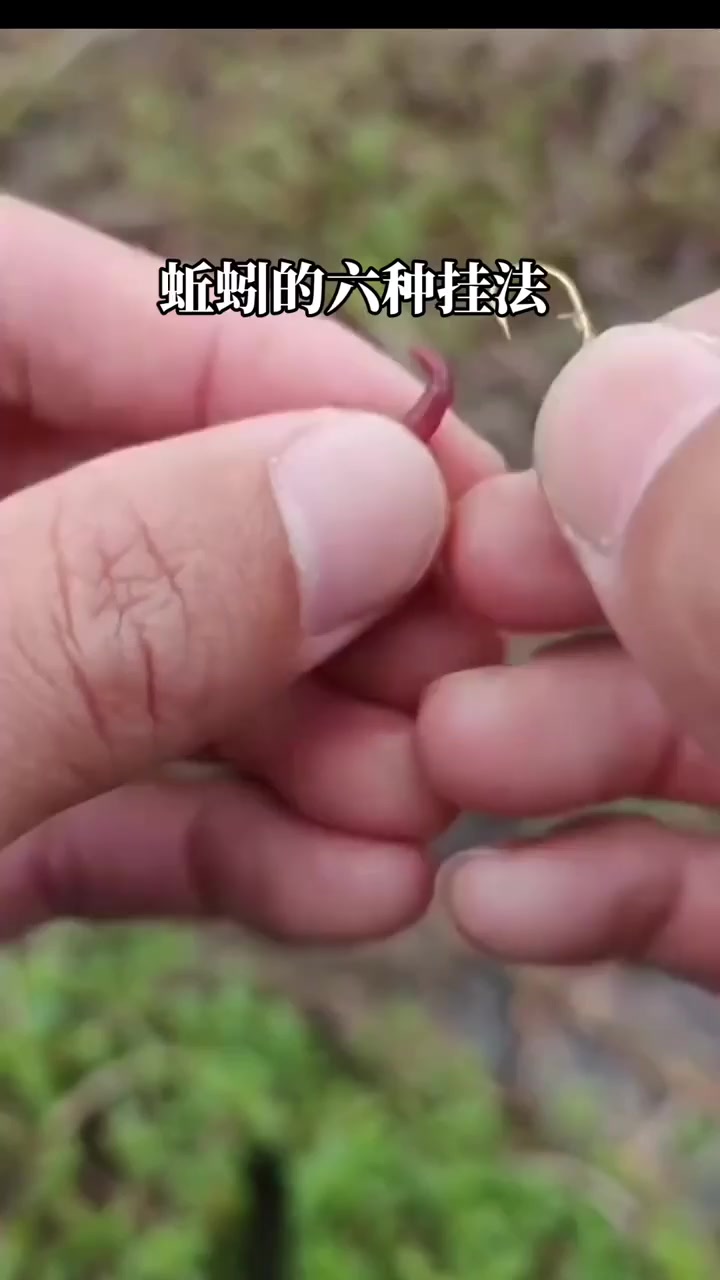 宋玉伟的真实钓鱼渔获图片 1