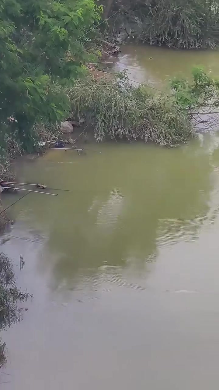 宋玉伟的真实钓鱼渔获图片 1