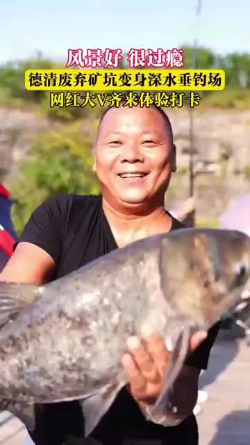 🐟爱吃鱼的猫🐈的真实钓鱼渔获图片 1
