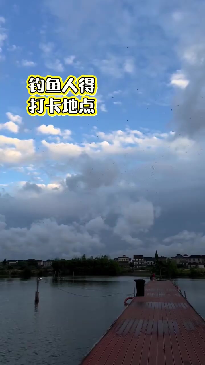 鱼我所欲也的真实钓鱼渔获图片 1