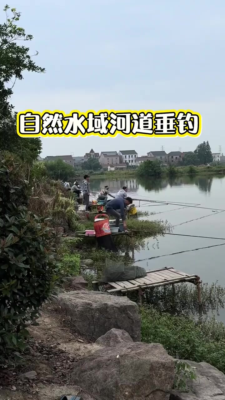 金喇叭的真实钓鱼渔获图片 1
