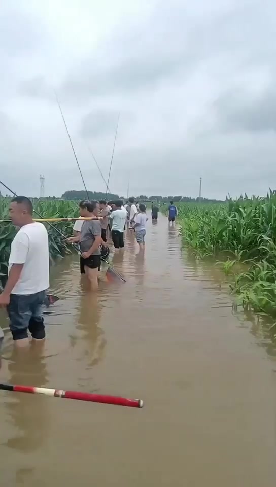 钓鱼佬宋的真实钓鱼渔获图片 1