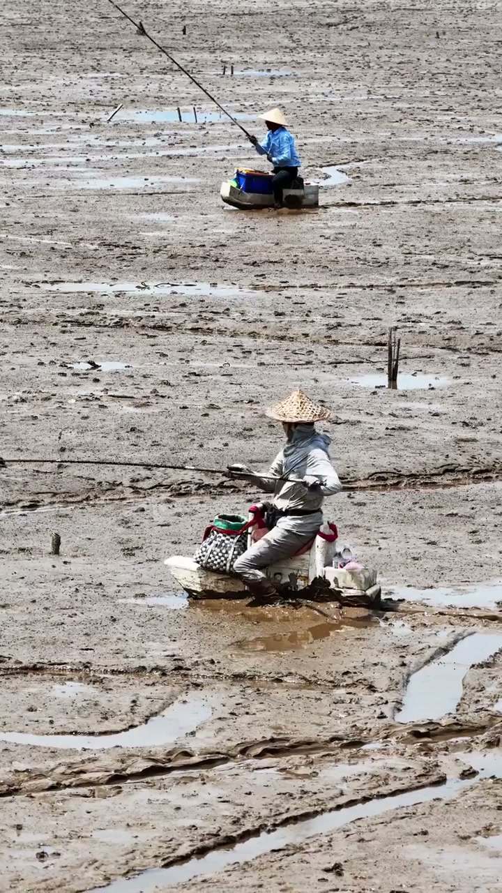 AACO的真实钓鱼渔获图片 1