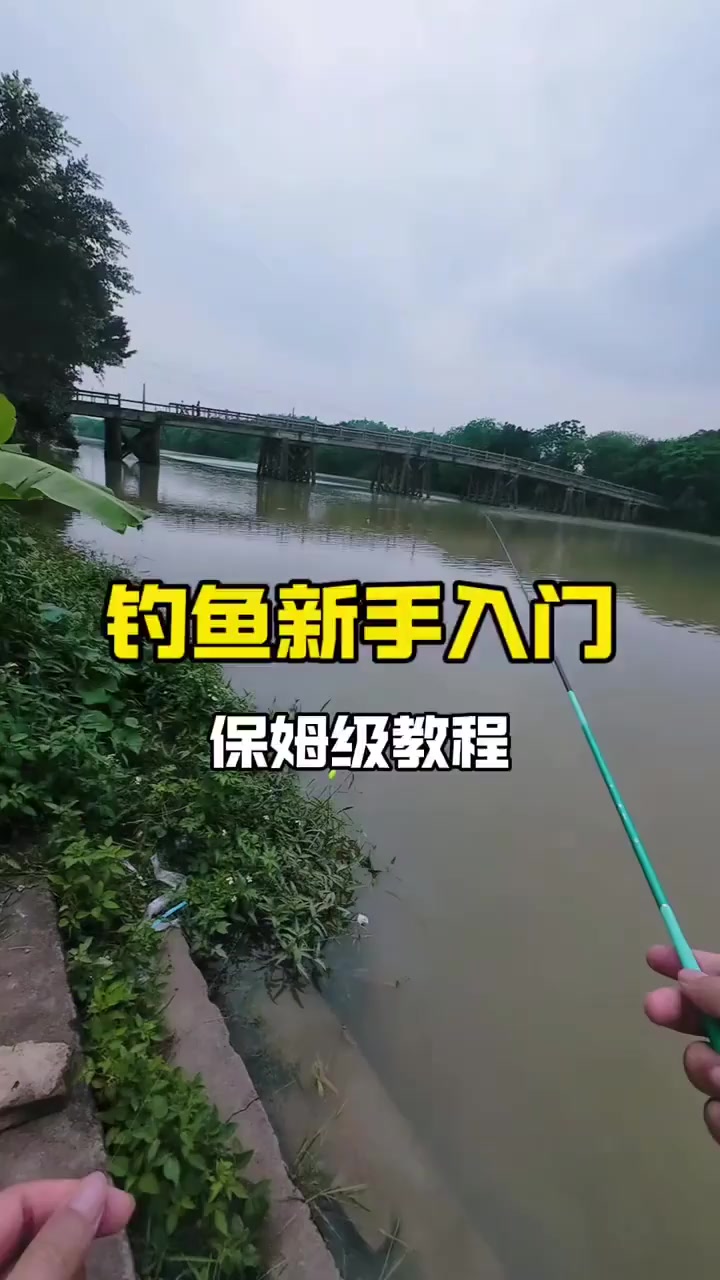 钓鱼佬宋的真实钓鱼渔获图片 1