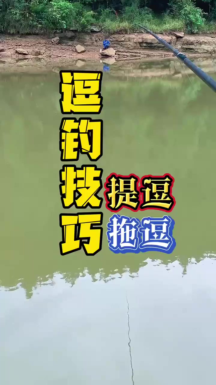 钓鱼佬宋分享的鱼情、钓点与渔获 钓鱼佬宋的真实钓鱼渔获图片 1